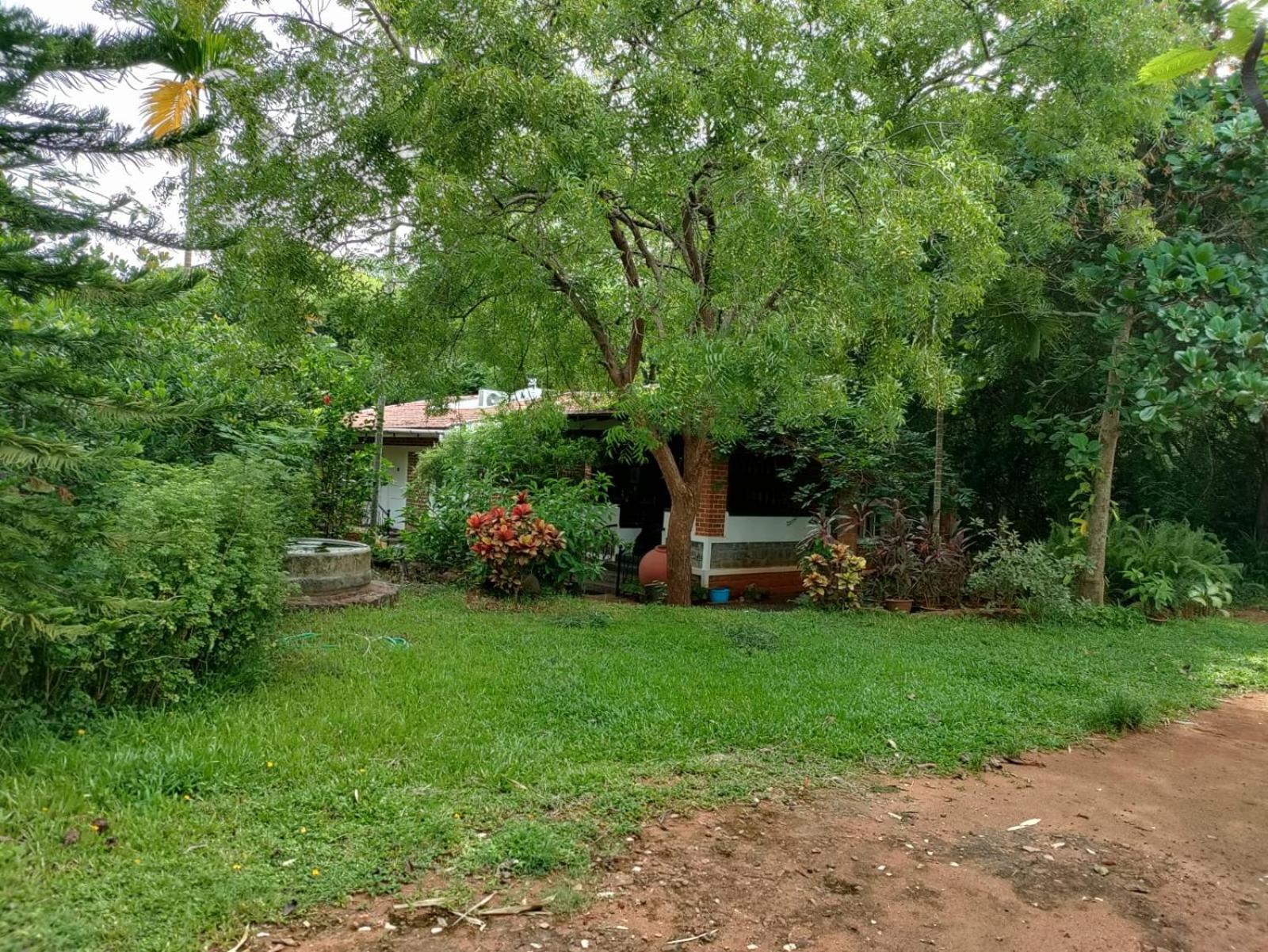 Inn Pondiville Forest Retreat ปอนดิเชอรี ภายนอก รูปภาพ